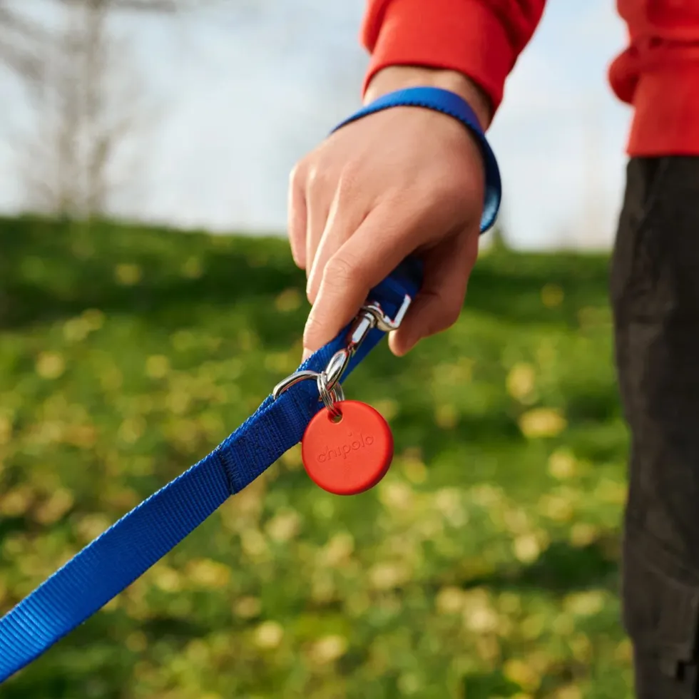 Chipolo POP Sporingsbrikke Hvit