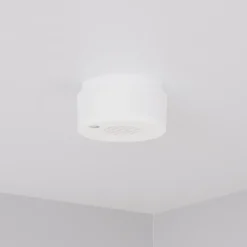 Cleverio Smart sirene med Zigbee 3.0