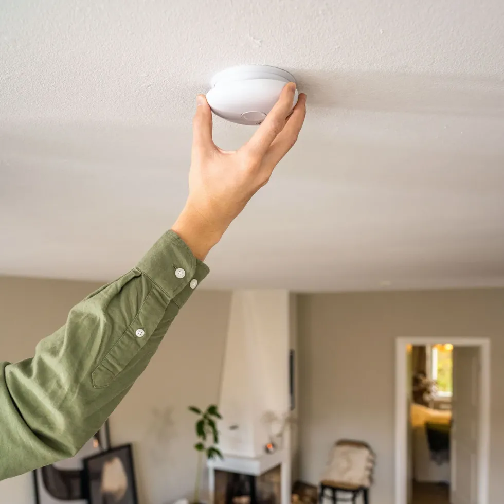 Housegard Pebble 10 Optisk røykvarsler