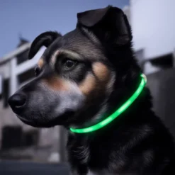 Luxorparts Oppladbart hundehalsbånd med LED
