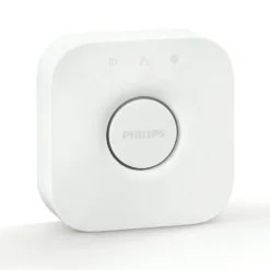 Philips Hue Bridge Bro