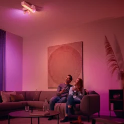 Philips Hue Dim Switch v2 Fjernkontroll