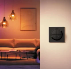 Philips Hue Tap Dial Switch Fjernkontroll Svart