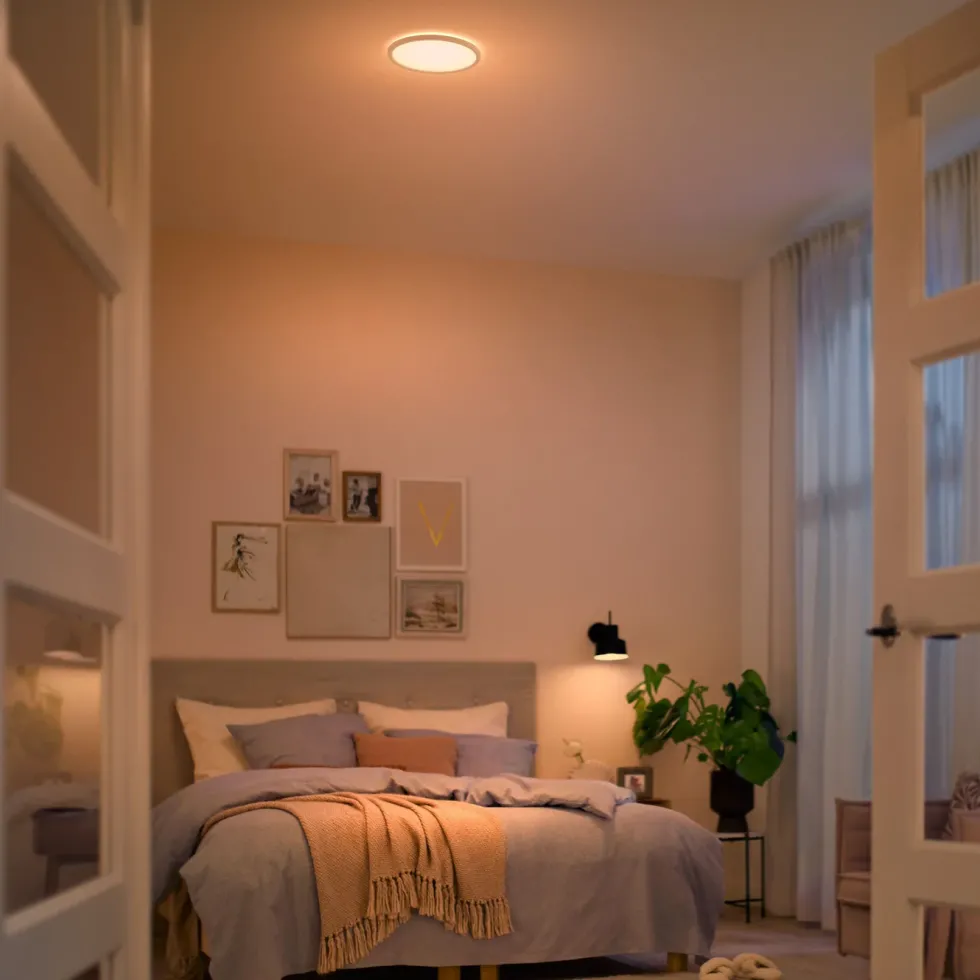 Philips Mauve Sceneswitch LED-plafond 1500 lm