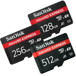 Sandisk SanDisk microSD Express 256 GB