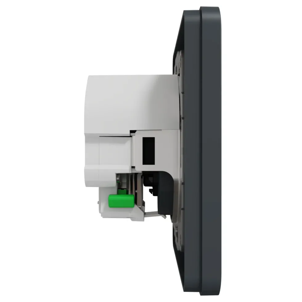 Schneider Electric Exxact Jordet vegguttak med USB-porter Svart