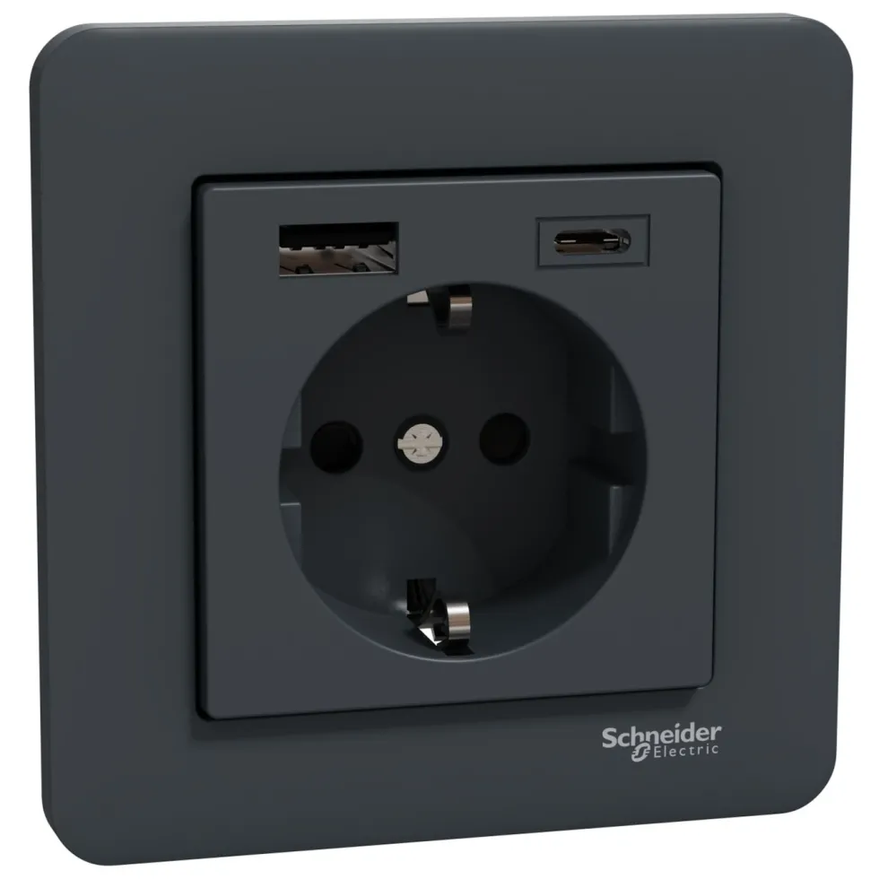 Schneider Electric Exxact Jordet vegguttak med USB-porter Svart
