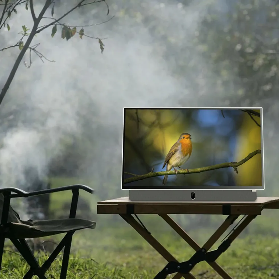STRONG METZ 24" LED Portabel TV