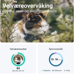 Tractive CAT Mini – GPS-tracker og helseovervåking for katt