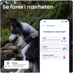 Tractive DOG 6 – GPS-hundehalsbånd og helseovervåking