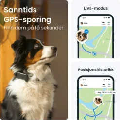 Tractive DOG 6 – GPS-hundehalsbånd og helseovervåking