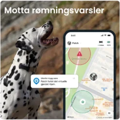 Tractive DOG 6 – GPS-hundehalsbånd og helseovervåking