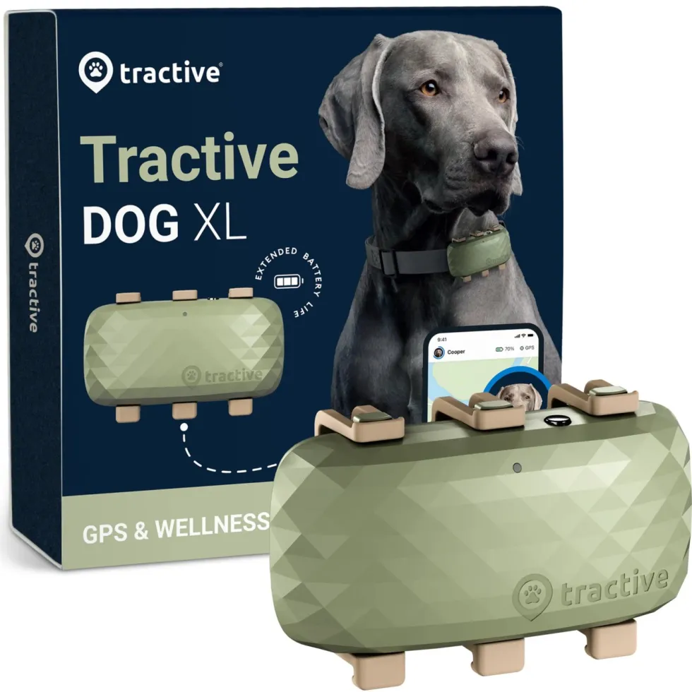 Tractive DOG XL GPS-sporingsbrikke for hund