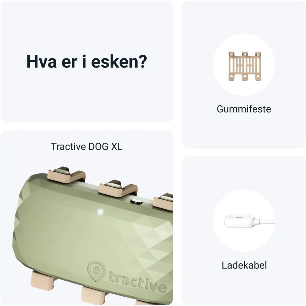 Tractive DOG XL GPS-sporingsbrikke for hund