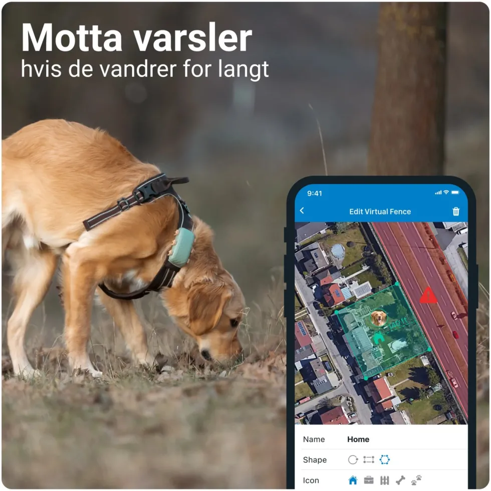 Tractive DOG XL GPS-sporingsbrikke for hund