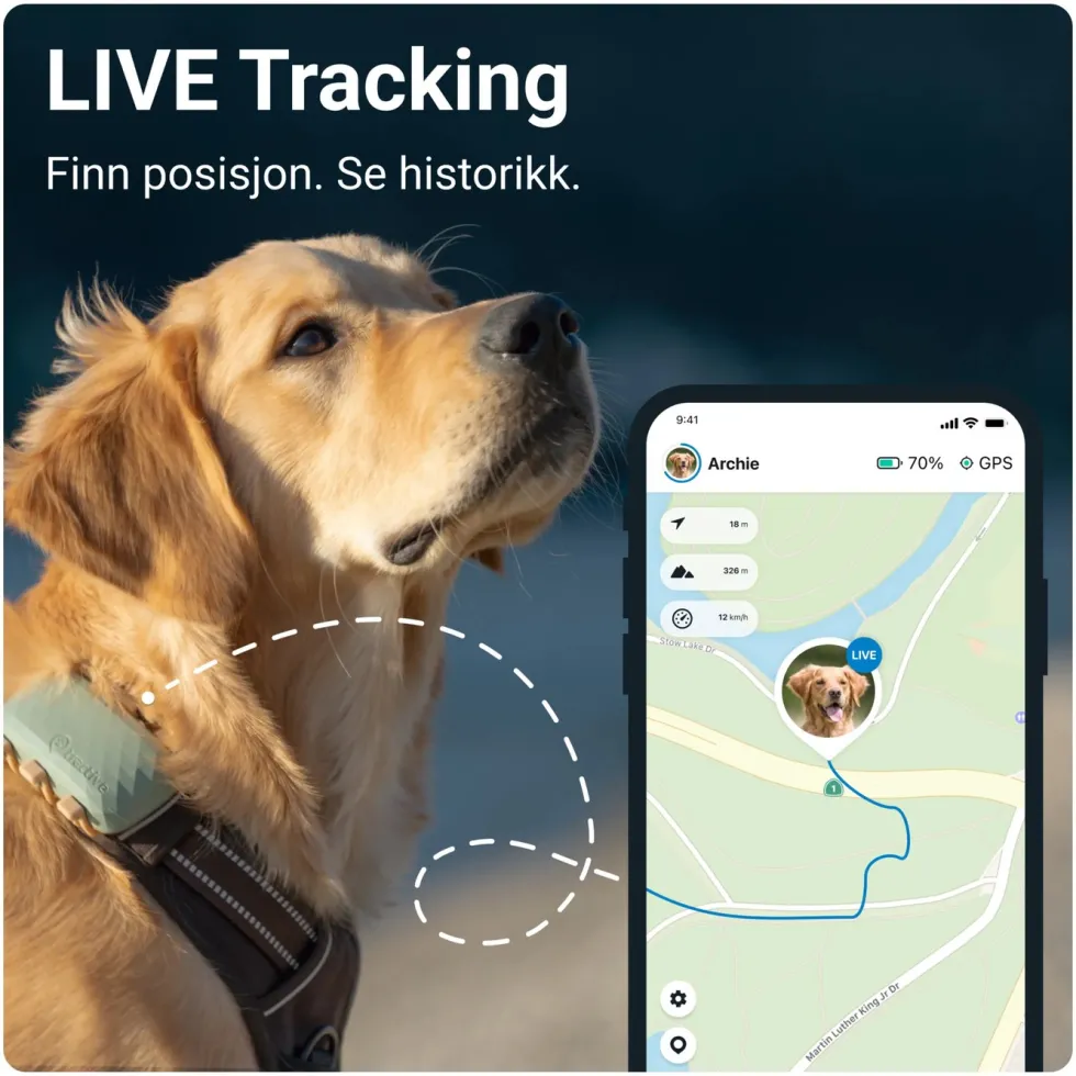 Tractive DOG XL GPS-sporingsbrikke for hund