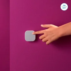WiZ Portable Button Fjernkontroll