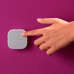 WiZ Portable Button Fjernkontroll