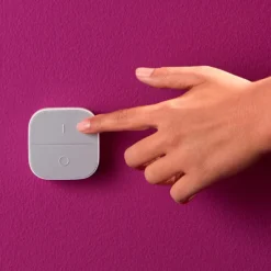 WiZ Portable Button Fjernkontroll