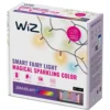 WiZ Smart LED-lyslenke 20 m