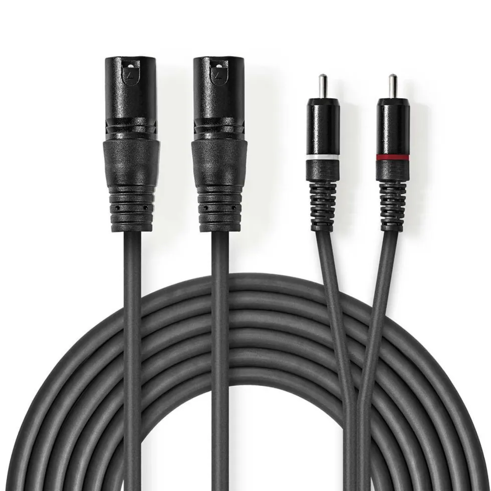 2 x XLR til 2 x RCA